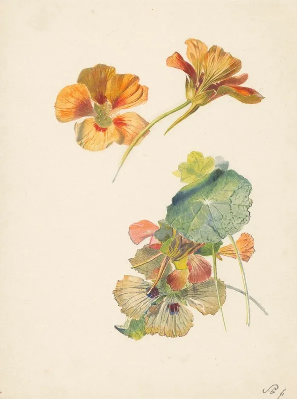 Studieblad Met Oost Indische Kers Wall Art by Albertus Steenbergen - High-Resolution Digital Print