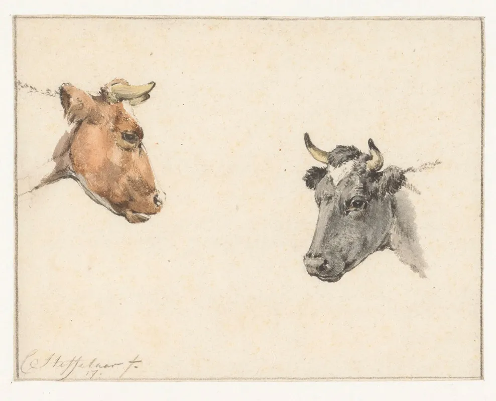 Studieblad Met Twee Koeienkoppen Wall Art by Cornelis Steffelaar - High-Resolution Digital Print