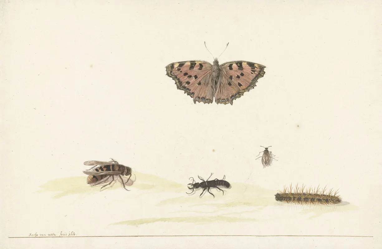 Studieblad Met Verschillende Insecten Wall Art by Rochus van Veen - High-Resolution Digital Print