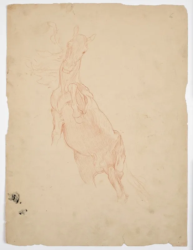 Studien Eines Aufsteigenden Pferdes Wall Art by Franz von Matsch - High-Resolution Digital Print