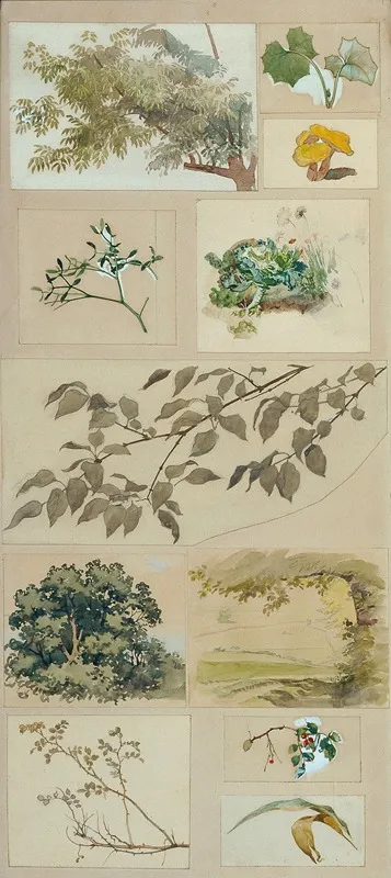 Studien Nach Der Natur 2
