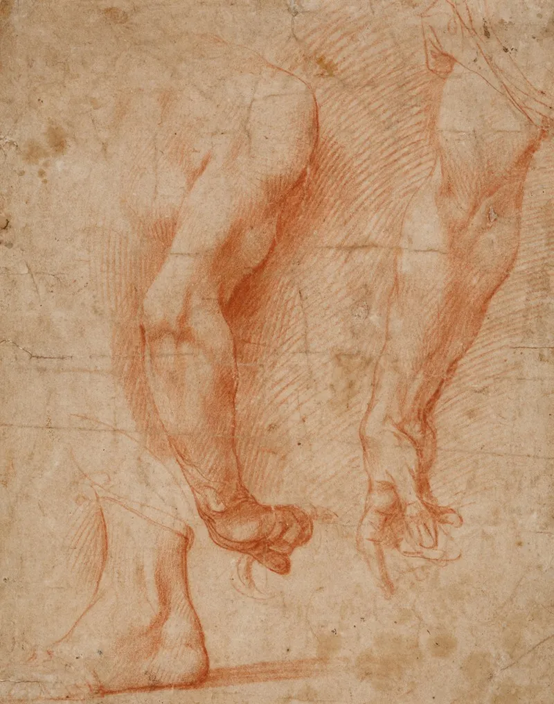 Studien Von Zwei Armen Und Eines Fuses Wall Art by Andrea del Sarto - High-Resolution Digital Print