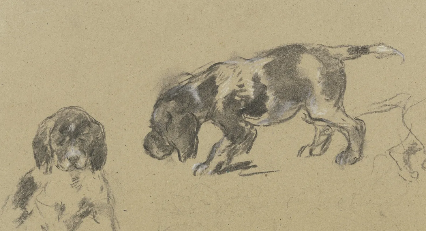Studienblatt Junge Jagdhunde