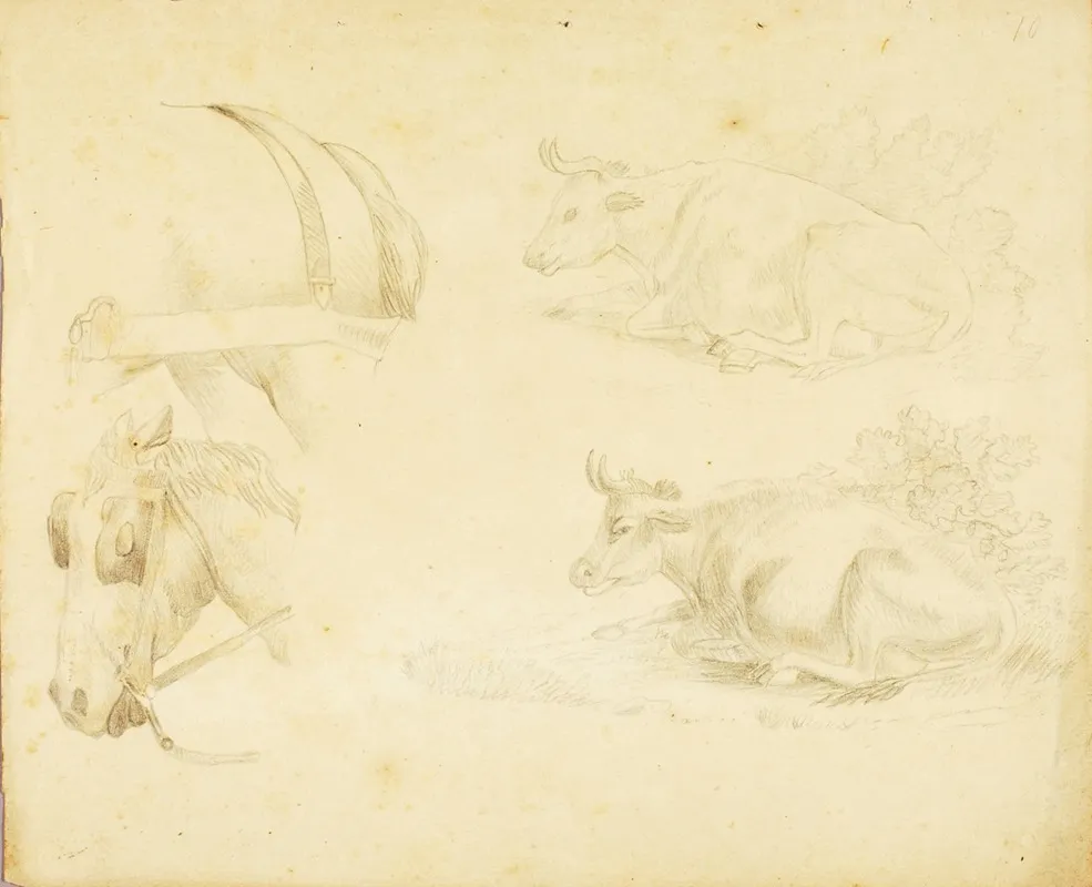 Studies 2 Cows Horse