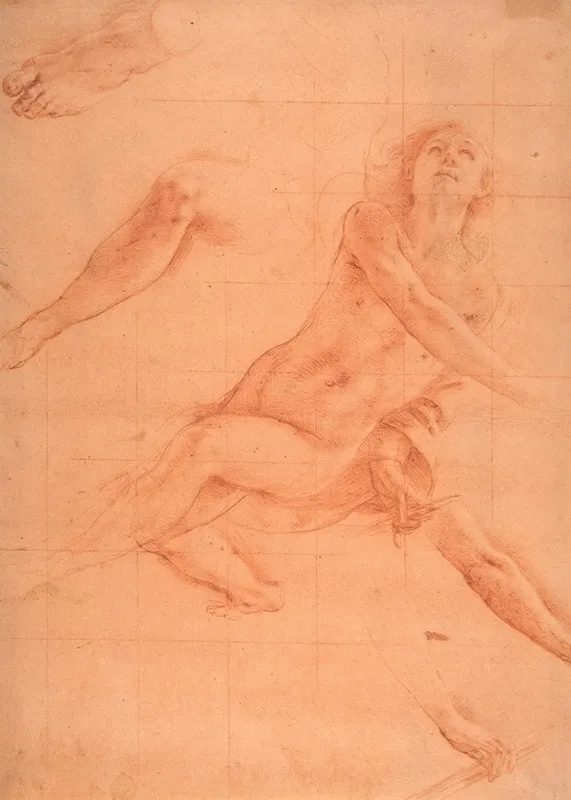Studies For An Angel In Glory Wall Art by Tanzio da Varallo - High-Resolution Digital Print
