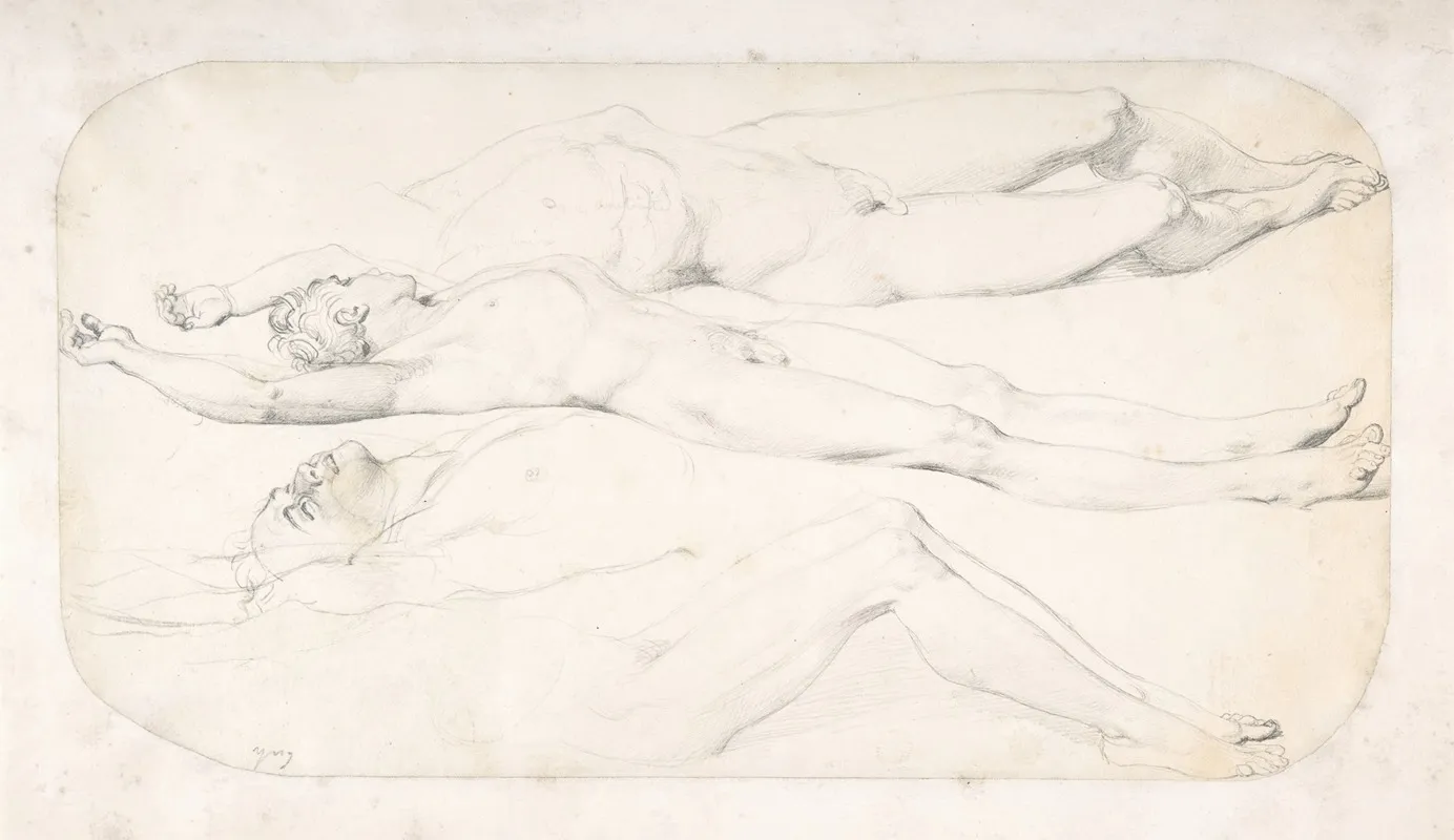 Studies For The Cadaver Of Acron