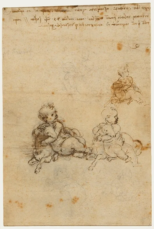 Studies For The Christ Child With A Lamb Wall Art by Leonardo da Vinci - High-Resolution Digital Print