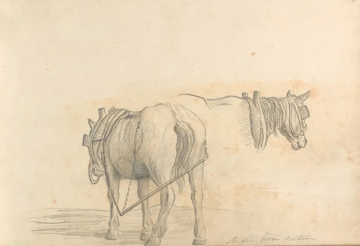Studies From Nature Two Horses Wall Art by William Brockedon - High-Resolution Digital Print