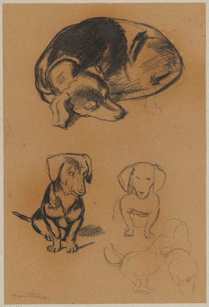 Studies Of A Dachshund Wall Art by Hans Thoma - High-Resolution Digital Print