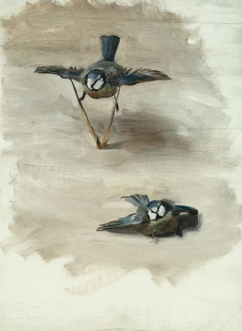 Studies Of A Dead Bird Wall Art by John Singer Sargent - High-Resolution Digital Print
