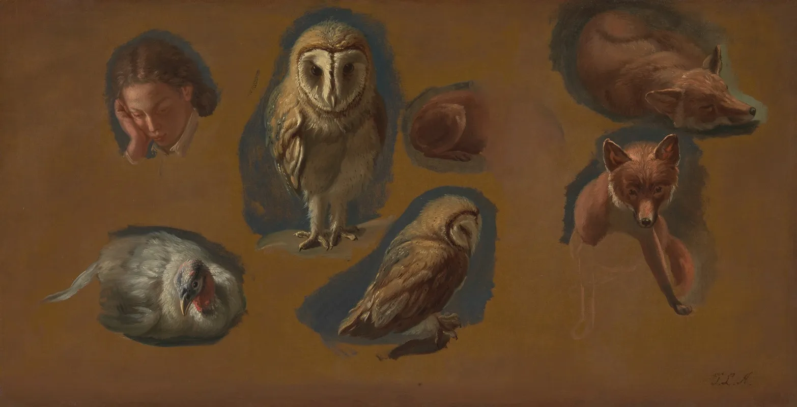 Studies Of A Fox A Barn Owl A Peahen And The Head Of A Young Man Wall Art by Jacques-Laurent Agasse - High-Resolution Digital Print