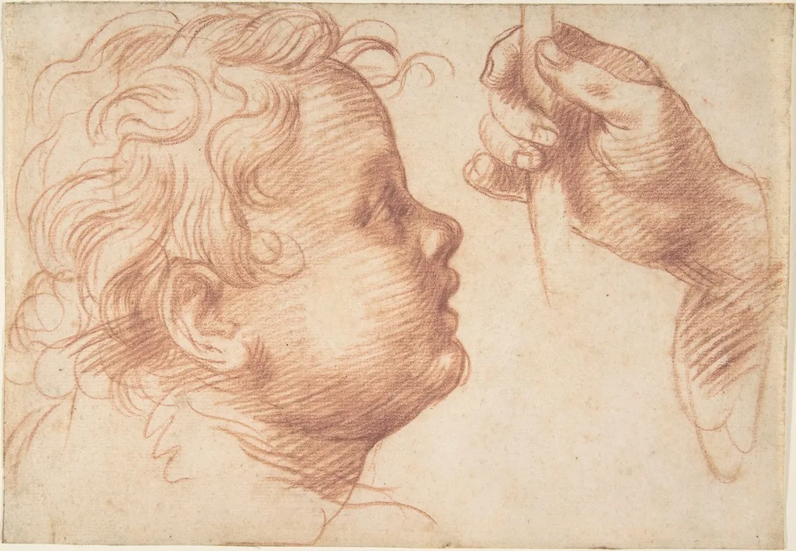 Studies Of A Head And A Hand Wall Art by Andrea del Sarto - High-Resolution Digital Print