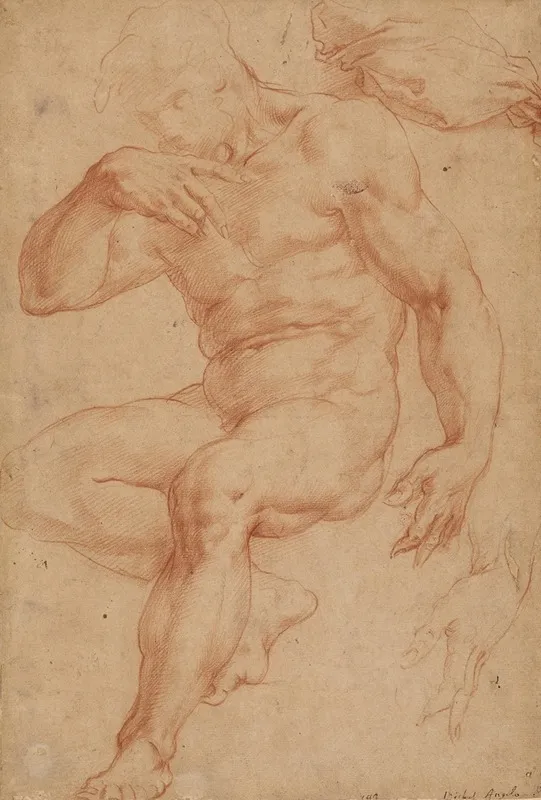 Studies Of A Male Nude A Drapery And A Hand