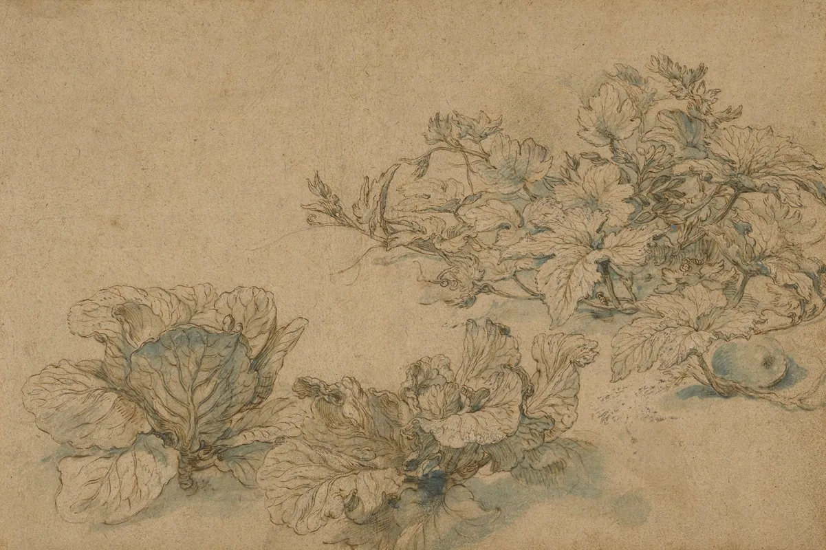 Studies Of A Marrow Plant And Cabbages Wall Art by Abraham Bloemaert - High-Resolution Digital Print