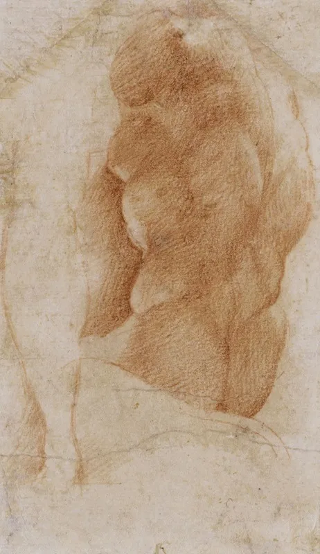 Studies Of A Nude Male Torso Seen From The Rear And A Leg