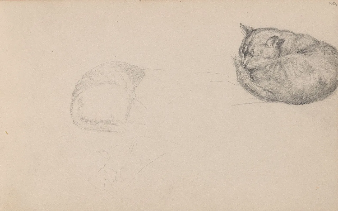 Studies Of A Sleeping Cat Wall Art by Adolph Tidemand - High-Resolution Digital Print