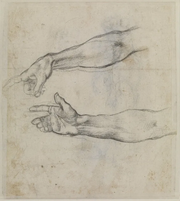 Studies Of An Outstretched Arm For The Fresco The Drunkenness Of Noah In The Sistine Chapel