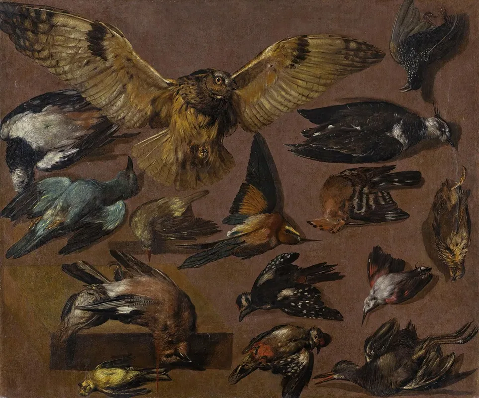 Studies Of An Owl And Other Birds