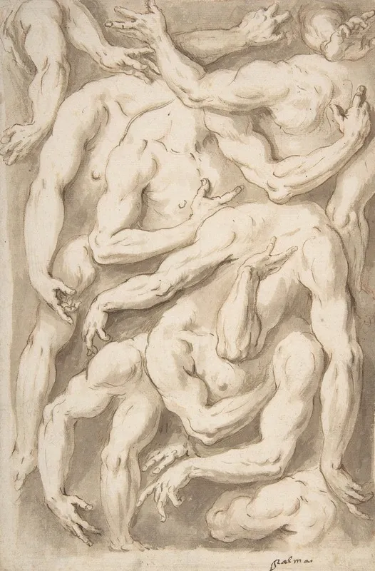 Studies Of Arms Shoulders And Hands Wall Art by Giacomo Franco - High-Resolution Digital Print