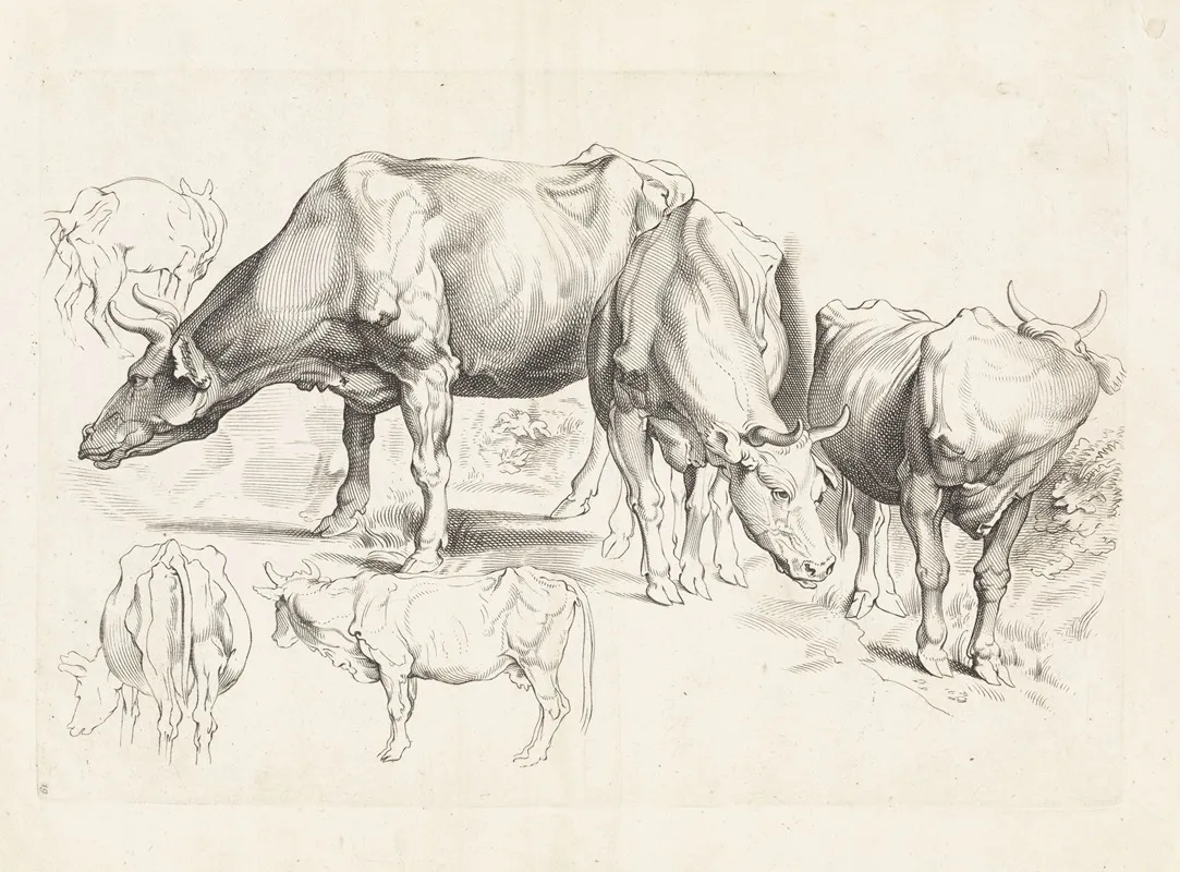 Studies Of Cattle 5 Wall Art by Paulus Pontius - High-Resolution Digital Print