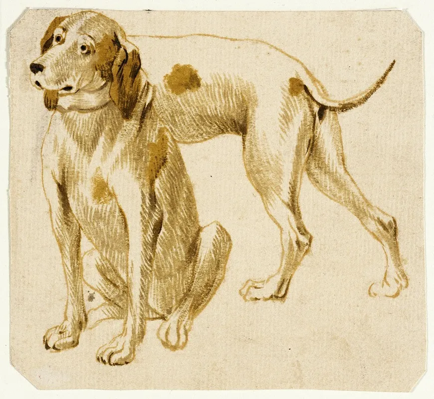 Studies Of Dogs 2