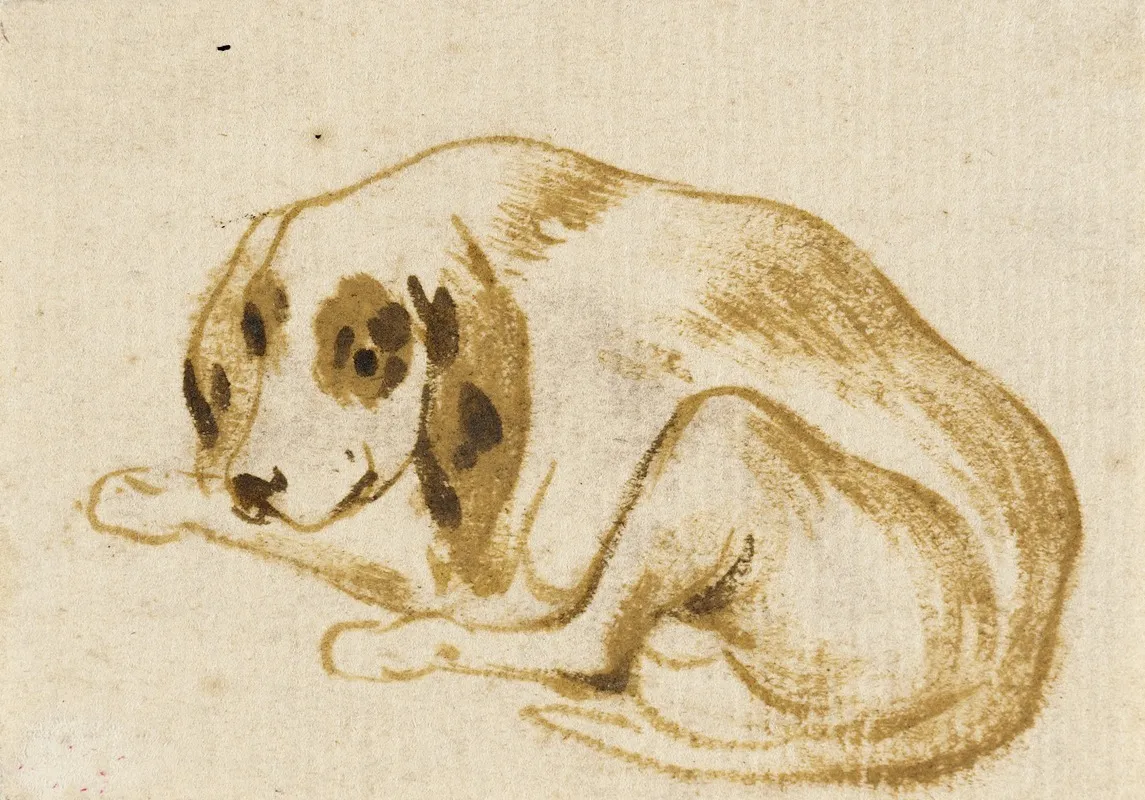 Studies Of Dogs 3