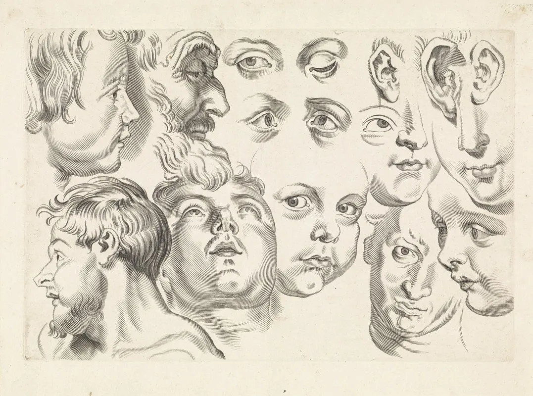 Studies Of Faces Eyes And Ears Wall Art by Paulus Pontius - High-Resolution Digital Print