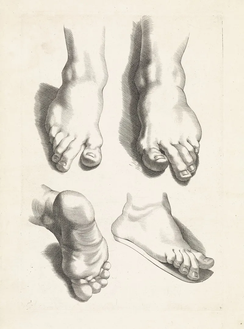 Studies Of Feet 2 Wall Art by Paulus Pontius - High-Resolution Digital Print