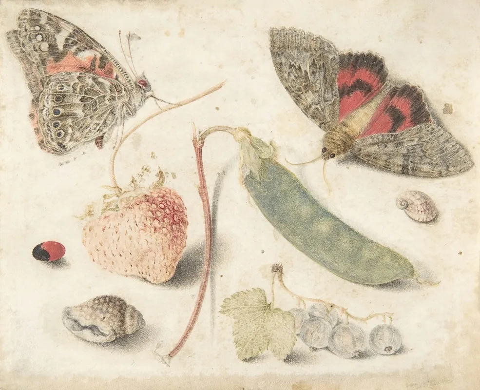 Studies Of Fruits Insects And Shells Wall Art by Georg Flegel - High-Resolution Digital Print