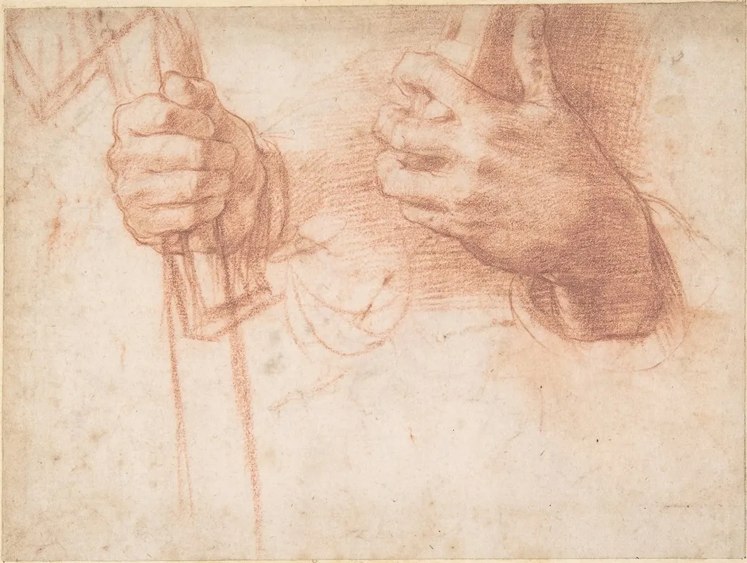 Studies Of Hands 6 Wall Art by Andrea del Sarto - High-Resolution Digital Print