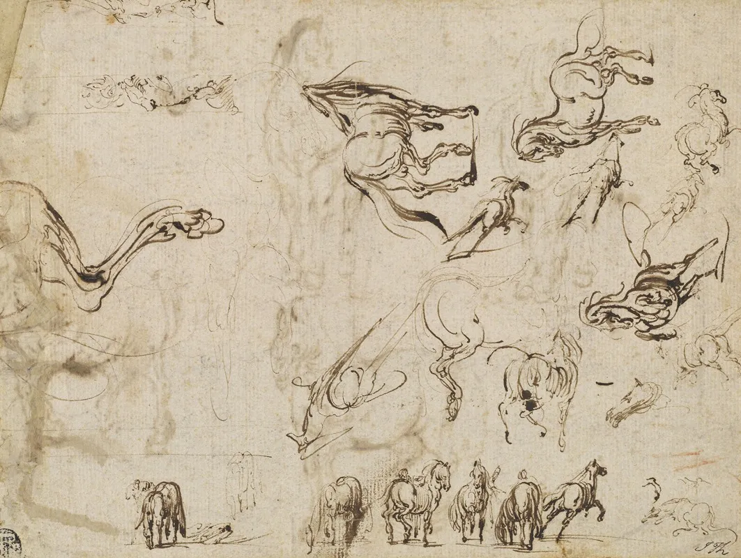 Studies Of Horses Verso