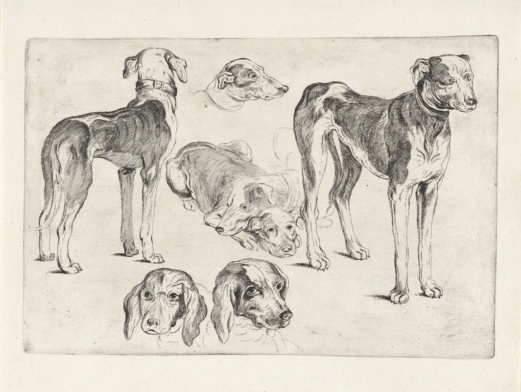 Studies Of Hounds 2