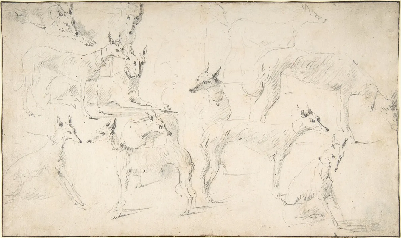 Studies Of Hounds