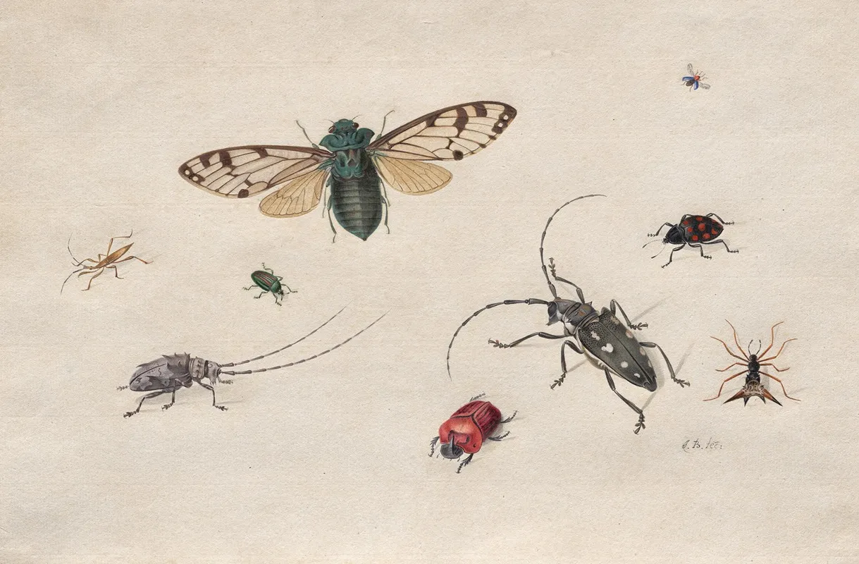 Studies Of Insects Wall Art by Johannes van Bronckhorst - High-Resolution Digital Print