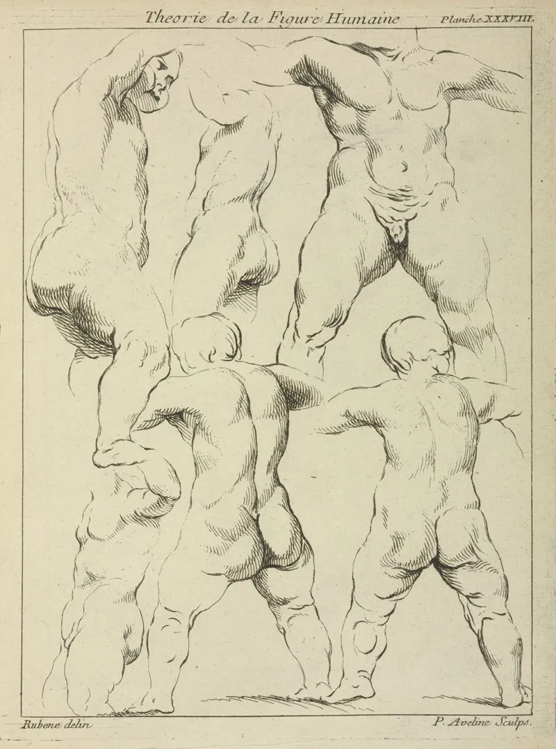 Studies Of Male Torsos Wall Art by Peter Paul Rubens - High-Resolution Digital Print