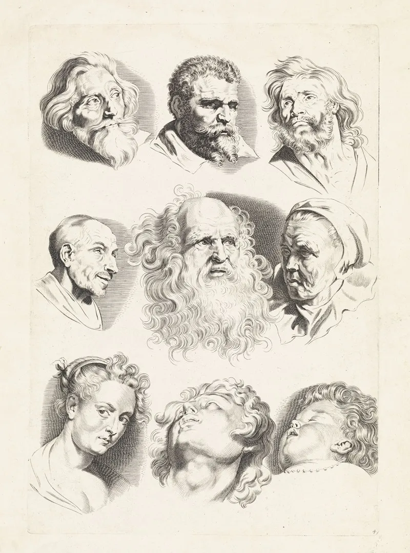 Studies Of Nine Heads Wall Art by Paulus Pontius - High-Resolution Digital Print