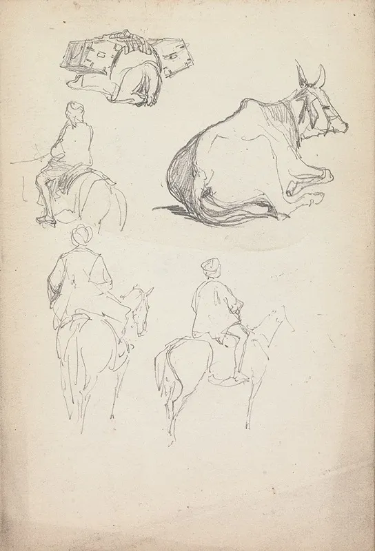 Studies Of Oxen And Equestrians