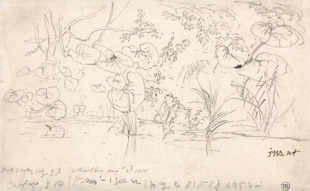 Studies Of Plants August 2 1815 Wall Art by James Ward - High-Resolution Digital Print