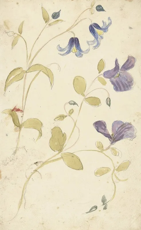 Studies Of Purple And Blue Flowers