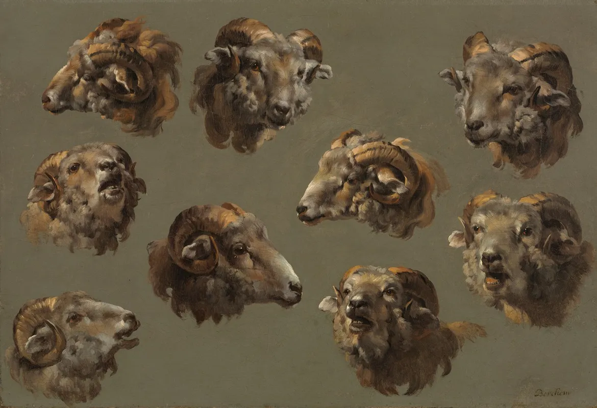 Studies Of Ram Heads