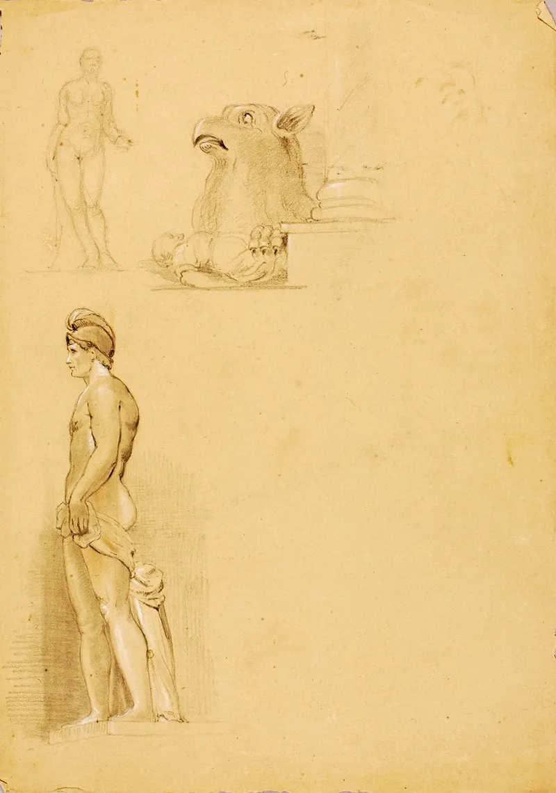 Studies Of Sculante