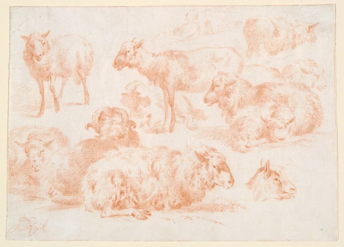 Studies Of Sheep 3 Wall Art by Jan Ryks - High-Resolution Digital Print
