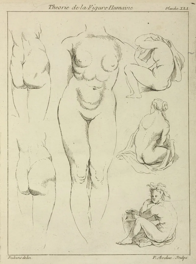 Studies Of The Female Torso Buttocks And Seated Figures Dorsal View Wall Art by Peter Paul Rubens - High-Resolution Digital Print