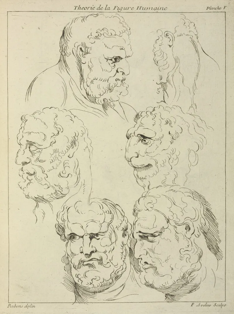 Studies Of The Head Of A Bearded Man And The Head Of A Creature Wall Art by Peter Paul Rubens - High-Resolution Digital Print