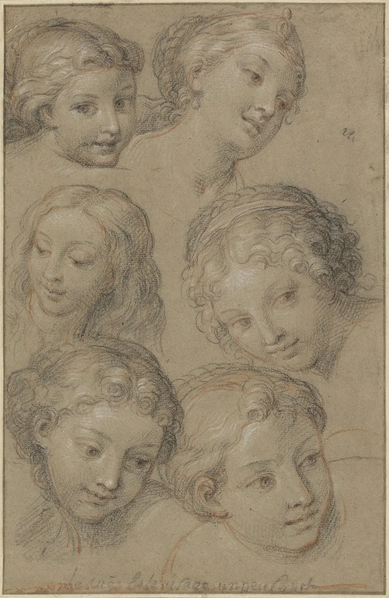 Studies Of Womens Heads