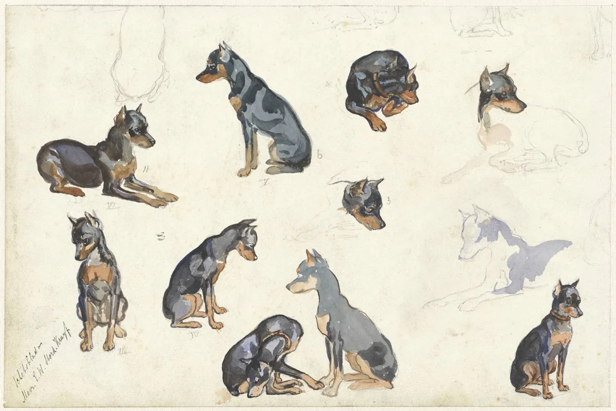 Studies Van Een Hond Wall Art by Anna Maria Kruijff - High-Resolution Digital Print