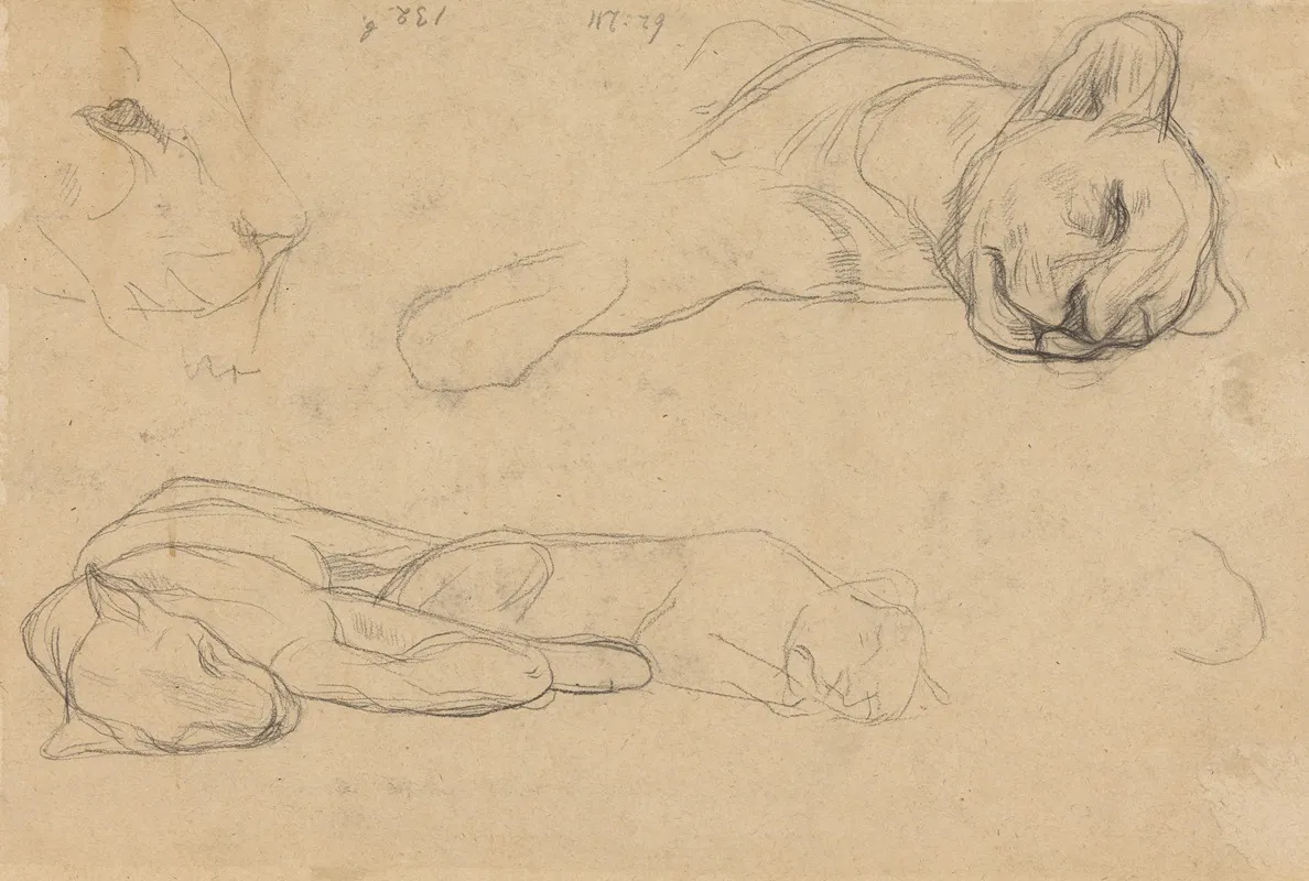 Studies Van Leeuwen 2