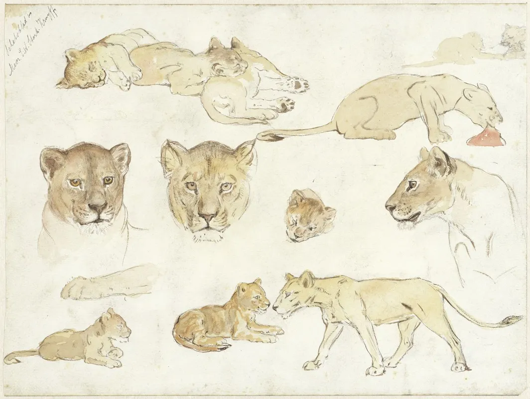 Studies Van Leeuwen Wall Art by Anna Maria Kruijff - High-Resolution Digital Print