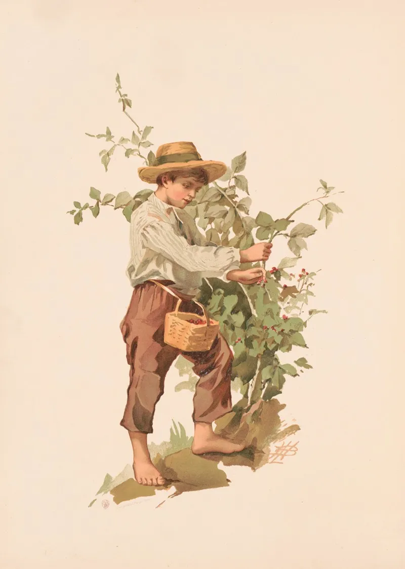 Study Barefoot Boy Picking Berries Wall Art by Lizbeth Bullock Humphrey - High-Resolution Digital Print