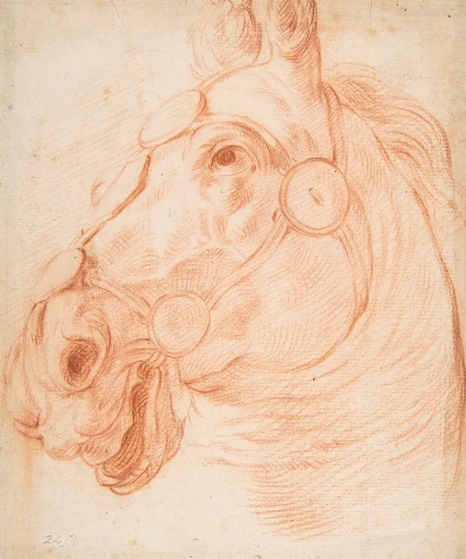 Study For A Horses Head Wall Art by Circle of Baldassarre Franceschini - High-Resolution Digital Print